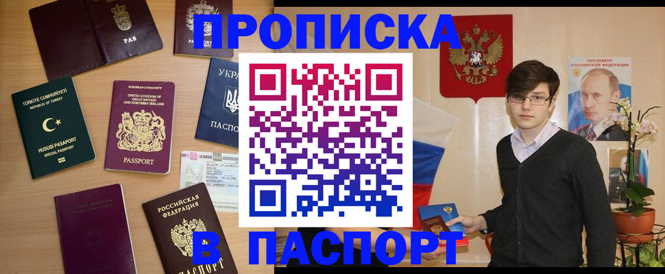 прописка 2025 в Шумихе